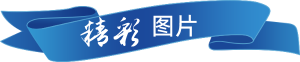 精彩图片